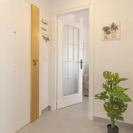 Apartment Awesome In Torrevieja